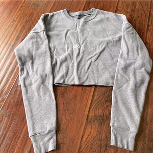 Alo Yoga Crop Sweatshirt